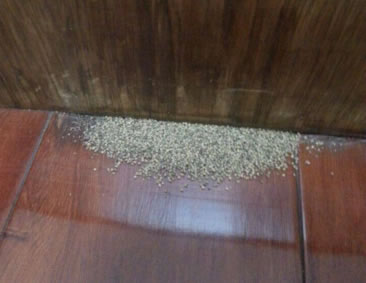 中国整木网 中国整木网