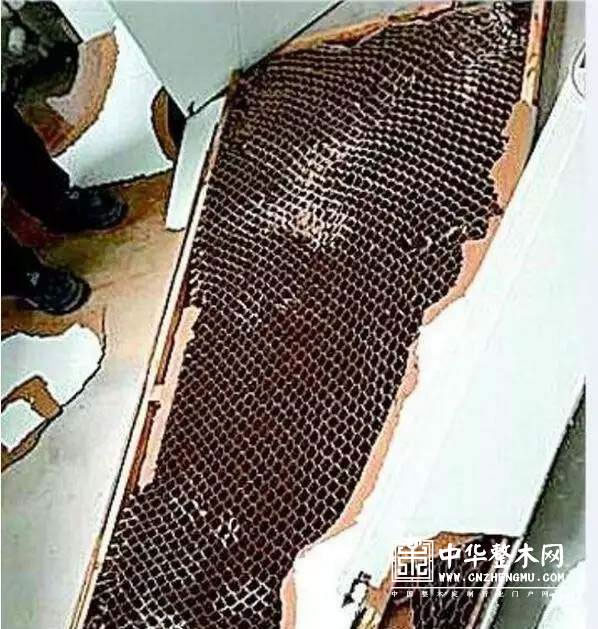 中国整木网 中国整木网