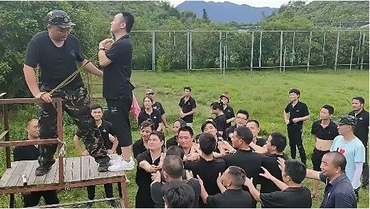 中国整木网 中国整木网